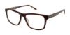 Picture of Ted Baker Eyeglasses B891