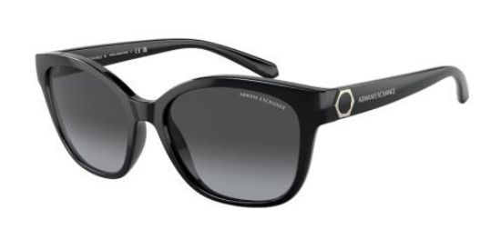 Picture of Armani Exchange Sunglasses AX4127S