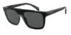 Picture of Emporio Armani Sunglasses EA4193F