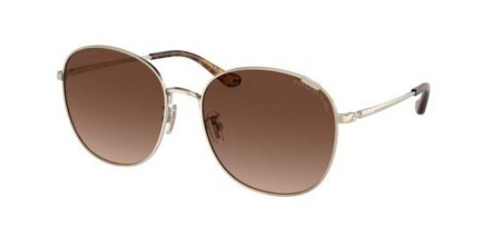 Picture of Coach Sunglasses HC7134