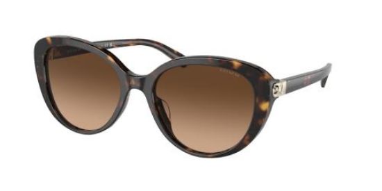 Picture of Coach Sunglasses HC8348U