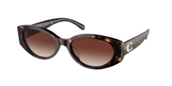 Picture of Coach Sunglasses HC8353U
