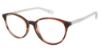Picture of Sperry Eyeglasses DUFFY