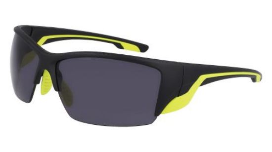 Picture of Spyder Sunglasses SP6035