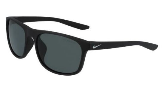 Picture of Nike Sunglasses ENDURE P FJ2215
