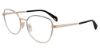 Picture of Police Eyeglasses VPL839