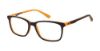 Picture of Nickelodeon Eyeglasses GNARLY