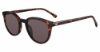 Picture of Gap Sunglasses SGP007