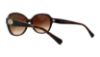Picture of Coach Sunglasses HC8150 L133