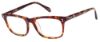 Picture of Gant Eyeglasses G VINCENT