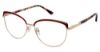 Picture of Alexander Collection Eyeglasses Charlie