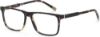 Picture of Viva Eyeglasses VV4052