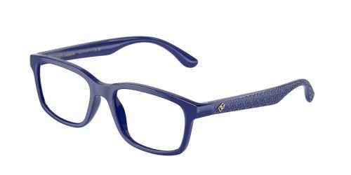 Picture of Dolce & Gabbana Eyeglasses DX5097