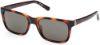 Picture of Guess Sunglasses GU00066