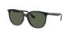Picture of Ray Ban Sunglasses RB4378
