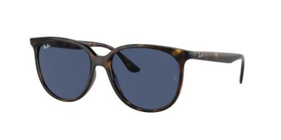 Picture of Ray Ban Sunglasses RB4378