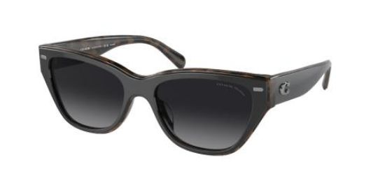 Coach cat eye sunglasses sales