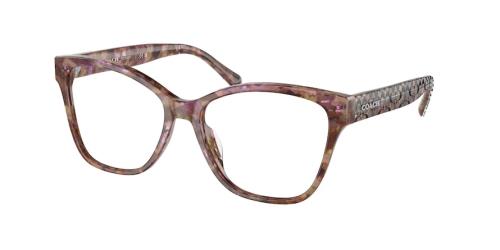 Picture of Coach Eyeglasses HC6207U