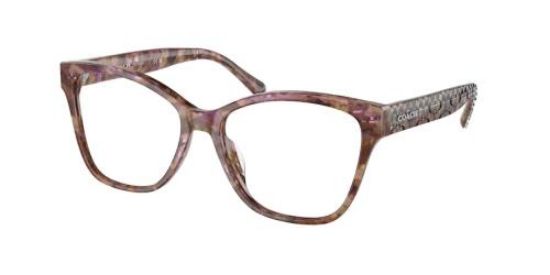Picture of Coach Eyeglasses HC6207U