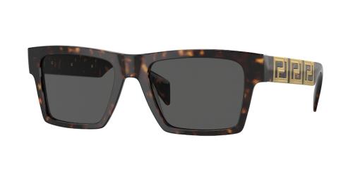 Picture of Versace Sunglasses VE4445