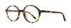 Picture of Eight to Eighty Eyeglasses Brandon