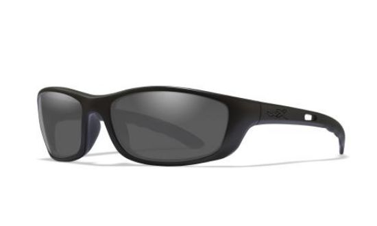 Picture of Wiley X Sunglasses P-17