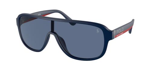 Picture of Polo Sunglasses PH4196U