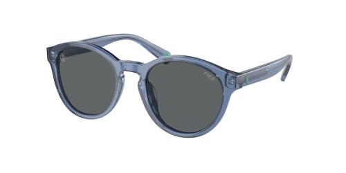 Picture of Polo Sunglasses PP9505U