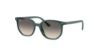 Picture of Ray Ban Jr Sunglasses RJ9097S