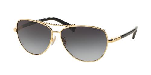 Picture of Coach Sunglasses HC7058