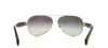 Picture of Dolce & Gabbana Sunglasses DG2118P