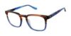 Picture of Superdry Eyeglasses SDOM002T