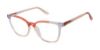 Picture of Superdry Eyeglasses SDOW001T