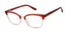 Picture of Superdry Eyeglasses SDOW007T