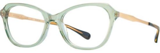 Picture of Alan J Eyeglasses AJ-520