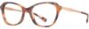 Picture of Alan J Eyeglasses AJ-520