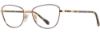 Picture of Alan J Eyeglasses AJ-526