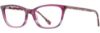 Picture of Alan J Eyeglasses AJ-528