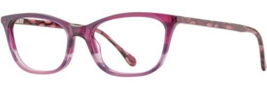 Picture of Alan J Eyeglasses AJ-528