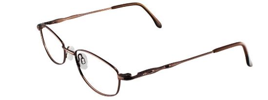 Picture of Cool Clip Eyeglasses CC820