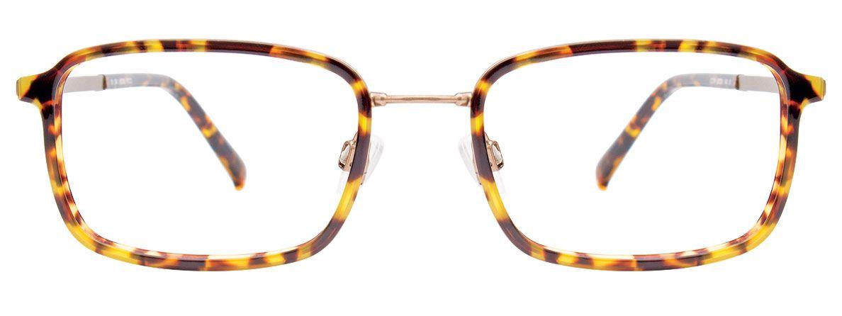 Picture of Clip & Twist Eyeglasses CT279