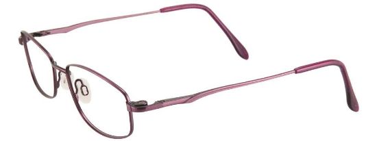 Picture of Cargo Eyeglasses C5026