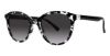 Picture of Modz Sunz Sunglasses Clearwater