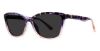 Picture of Modz Sunz Sunglasses Malibu