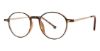 Picture of ModZ Eyeglasses Upton