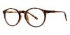 Picture of Modern Plastics II Eyeglasses Accord