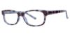 Picture of Modern Plastics II Eyeglasses Hopscotch