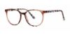 Picture of Modern Plastics I Eyeglasses AMICABLE