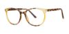 Picture of Modern Plastics I Eyeglasses AMICABLE