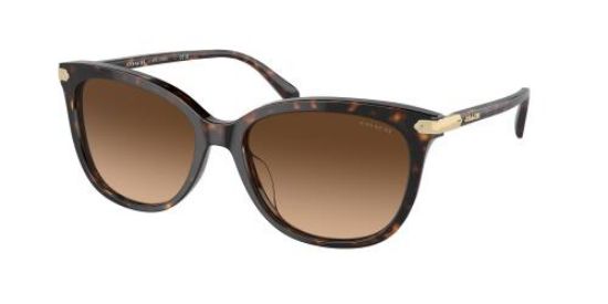 Picture of Coach Sunglasses HC8378U